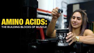 Amino Acids: The Building Blocks of Muscle