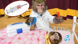 お猿さんに「お医者さんごっこ」教えたら医療ミス連発wwww