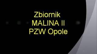 Zbiornik Malina II