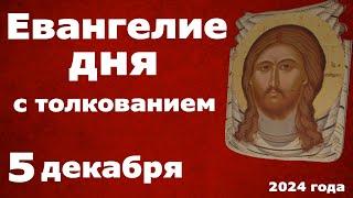 Евангелие дня с толкованием  5 декабря  2024 года