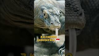 Top 10 national animals from different countries in the world #shorts #shortvideo #factvideo