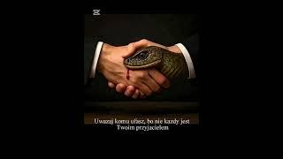 #ŻELAZNY WILKOŁAK