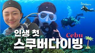 Cebu | 세부여행에서 인생 첫 스쿠버다이빙에 도전하다 | 세부 뉴그랑블루 | 다시 찾은 힐루뚱안 포인트🪸