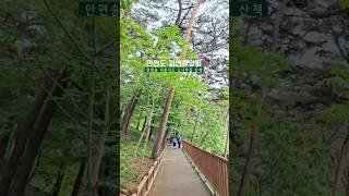 태안 가볼만한곳, 안면도 자연휴양림