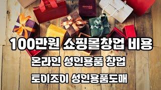 100만원 쇼핑몰 창업 비용 온라인 성인용품 창업 토이조이 성인용품도매