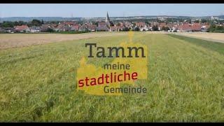 Gemeinde Tamm Jahresrückblick 2019