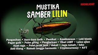 Samber Lilin #Highlights #AlamSemenit