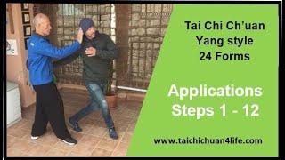 Applications - Tai Chi Ch'uan 24 Forms - Steps 1 - 12