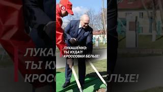 Лукашенко: ТЫ КУДА?! У тебя белые кроссовки! #лукашенко #президент #батька #беларусь