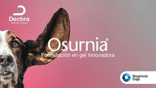 Osurnia®, la evolución del tratamiento de la otitis externa canina | Biogénesis Bagó