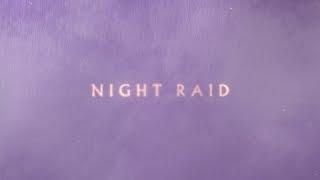Nick Cave and The Bad Seeds - Night Raid (Official Lyric Video)