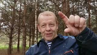 Какие ульи использовать начинающему Дадан или улей лежак Владимирский. Рассуждения.