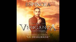 Espinosa Paz - Mi venganza ( Audio )
