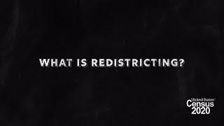 2020 Census Redistricting Data Release: What is Redistricting?