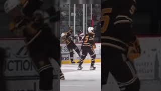 Big high school hockey hits (USA hockey life)