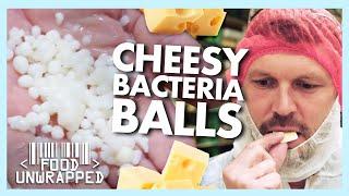 Does this Secret Ingredient Make Cheese Mature Faster? | Food Unwrapped
