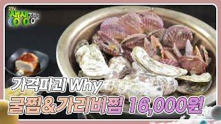 가격파괴 Why : 국내산 굴찜&가리비찜 무한 리필 1인 16,000원 [2TV 생생정보] | KBS 241211 방송