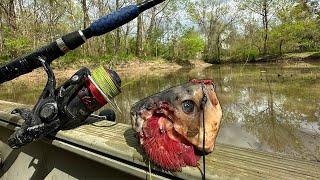 This Is Why You Fish Secluded Swamps!!!