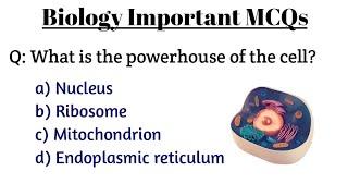Biology important mcqs for competitive exam  | Biology mcqs