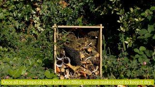 How to Build an Insect Hotel