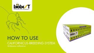 How to use Californicus-Breeding-System from Biobest