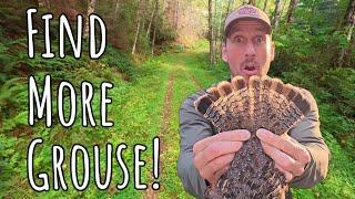 5 Tips to Find MORE GROUSE! How to Grouse Hunt