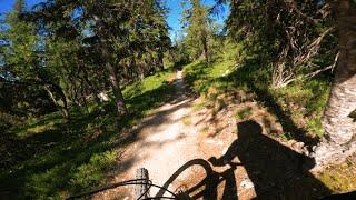 Fjälleden, Lofsdalen | MTB Full Run