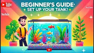 "How to Set Up a New Fish Tank for Beginners | Step-by-Step Guide"