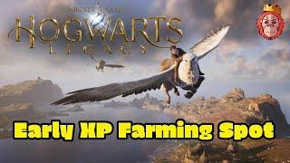 Hogwarts Legacy - How to get XP Early the Easy Way - Unlimited XP Farming Spot - Easiest XP Farm