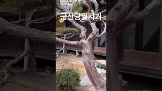 군산당일치기여행 #군산 #군산여행 #군산가볼만한곳 #캠핑카 #카라반 #모터홈 #캠핑 #노지 #노지추천