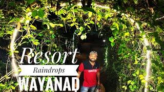 Raindrops Resort full review #Raindrops #Wayanad #hotelreview #naturehotel #greenhotel #bestwayanad