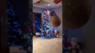 christmas tree #christmas #merrychristmas #celebration #cristmas_decorations #christmastree #family