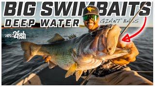 Big Swimbaits for Offshore Bass | Zaldain Masterclass