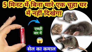 बिना दवाई सेल से चूहे भगाने का घरेलू तरीका  rid of mouse/ chuhe bhagane ka tarika