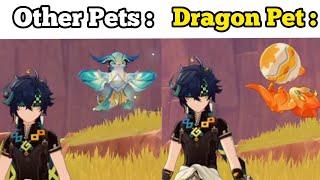 THIS DRAGON PET IS ACTUALLY BETTER THAN OTHER PETS 