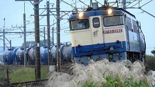 EF65 Japanese locomotive JNR color