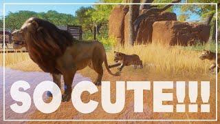 35 cute and funny animal moments! Planet Zoo