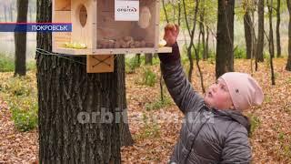 Годівницю для покровських білочок виготовили співробітники ТК «Орбіта»