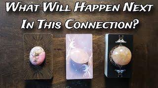  What Will Happen Next In This Connection? Pick A Card Love Reading