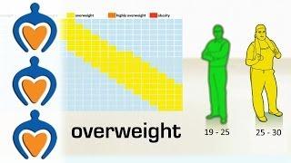 Newyear: lose weight in 2014 - what is overweight and how to get healthy?