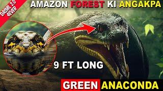 AMAZON Forest ki Angakpa Khara || NO PROMOTION || DAshil 2.0 4Ever