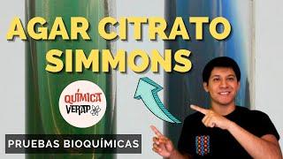 CITRATO DE SIMMONS l PRUEBAS BIOQUIMICAS MIRCOBIOLOGIA PRUEBA DE SIMMONS l SIMMONS CITRATE AGAR