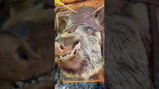 Про ошибки #мудрости