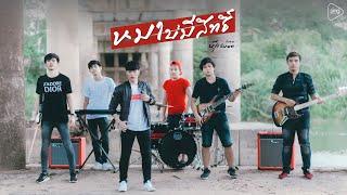 หมาบ่มีสิทธิ์ - นุ๊ก ธนดล「Cover Version」