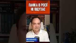 Z-пропагандисти не знають, що робити! Наступ ЗСУ поставив окупантів у глухий кут - МУСІЄНКО