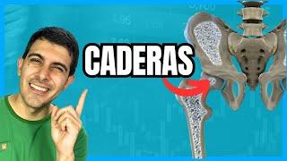 20 minutos FORTALECIMIENTO DE CADERAS MAYORES DE 60 AÑOS