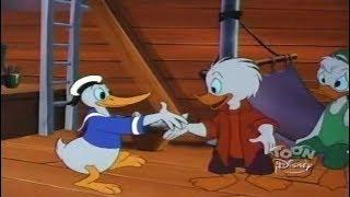 Quack Pack Donald Duck Pranks His Nephews