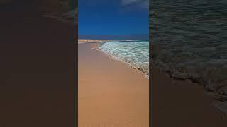 Ocean beach  Fuerteventura