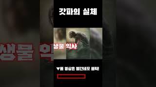 알고보면 기괴하고 끔찍한 갓파