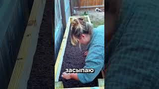 Как сделать грядку идеально для вашего роста #дача #сад #огород #рассада